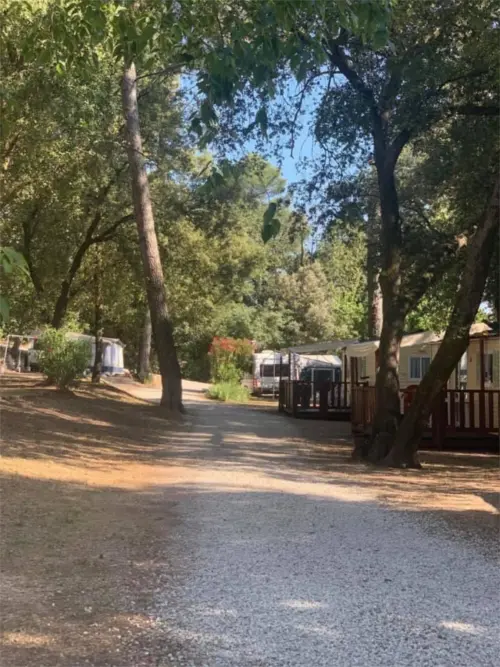 Campingplatz La Foux - Draguignan, Côte d'Azur, Südfrankreich