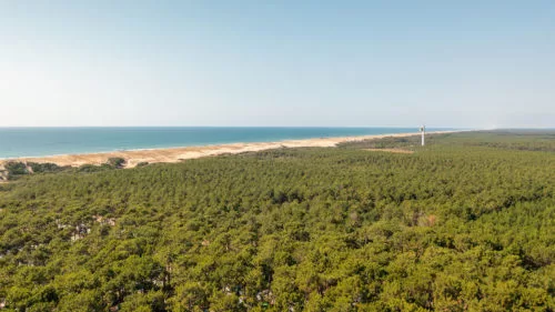 Campingplatz Le Vieux Port - Messanges, Nouvelle-Aquitaine, Südfrankreich