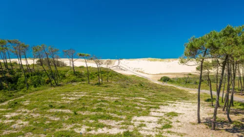 Campingplatz Le Vieux Port - Messanges, Nouvelle-Aquitaine, Südfrankreich