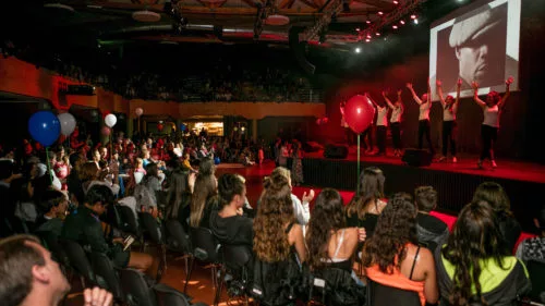 Campingplatz Le Vieux Port - Messanges, Nouvelle-Aquitaine, Südfrankreich