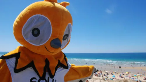 Campingplatz Le Vieux Port - Messanges, Nouvelle-Aquitaine, Südfrankreich
