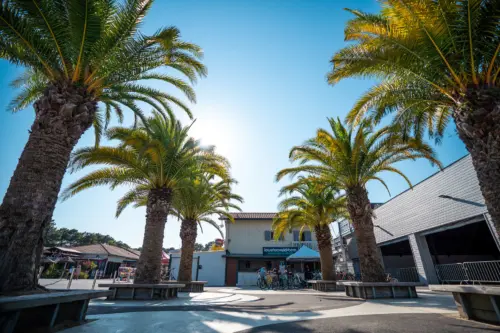 Campingplatz Le Vieux Port - Messanges, Nouvelle-Aquitaine, Südfrankreich