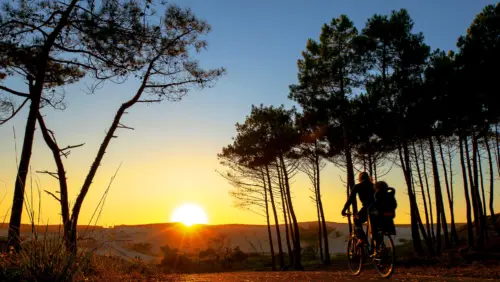 Campingplatz Le Vieux Port - Messanges, Nouvelle-Aquitaine, Südfrankreich
